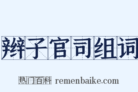 辫子官司组词是什么意思的图片